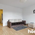 Rent 3 bedroom apartment of 65 m² in Poznan