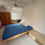 Rent 1 bedroom house in Třebíč