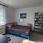 Pronajměte si 3 ložnic/e byt o rozloze 74 m² v Pilsen