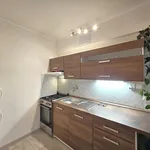 Rent 2 bedroom apartment of 42 m² in Kralupy nad Vltavou