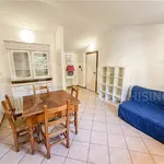 Rent 2 bedroom apartment of 50 m² in Perugia