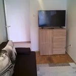 Rent 3 bedroom apartment of 67 m² in Rzeszów