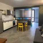 Rent 2 bedroom apartment of 50 m² in Turin