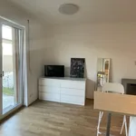 Rent 1 bedroom apartment of 27 m² in Frankfurt