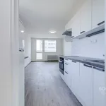 Pronajměte si 4 ložnic/e byt o rozloze 65 m² v Prague