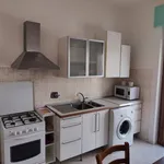 Rent 1 bedroom apartment of 45 m² in Pisa