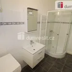 Rent 2 bedroom apartment of 55 m² in Jáchymov