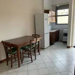 Rent 3 bedroom apartment of 80 m² in Turin