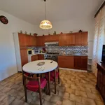 Rent 4 bedroom apartment of 125 m² in Padova