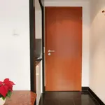 Rent 1 bedroom apartment in berlin