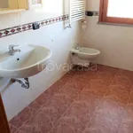 Rent 3 bedroom apartment of 120 m² in Novara