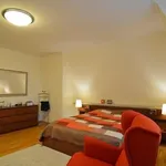 Rent 6 bedroom apartment of 203 m² in Prague