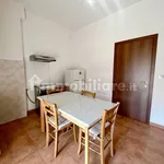 Rent 4 bedroom apartment of 115 m² in Verona