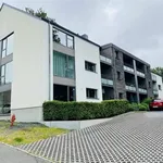 Huur 3 slaapkamer appartement van 120 m² in Libin