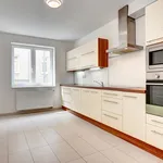 Rent 3 bedroom apartment of 120 m² in brno