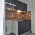 Appartement de 40 m² avec 2 chambre(s) en location à TOULOUSE