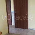 Rent 2 bedroom apartment of 50 m² in Frosinone