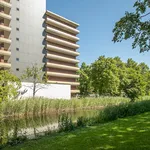 Rent 4 bedroom apartment of 94 m² in Voorhof-Hoogbouw