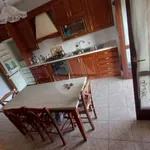 Rent 4 bedroom apartment of 115 m² in Rende