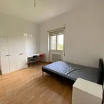 Rent 5 bedroom apartment of 153 m² in Rome