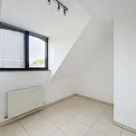 Huur 3 slaapkamer appartement in Asse