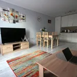 Rent 2 bedroom apartment of 49 m² in Wrocław