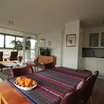 Rent 2 bedroom apartment of 100 m² in groningen