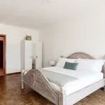 Rent 2 bedroom apartment of 90 m² in Paradiso