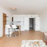 Rent 1 bedroom apartment of 50 m² in Capital City of Prague