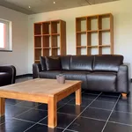 Huur 1 slaapkamer appartement in Lauwe