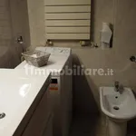 Rent 2 bedroom apartment of 47 m² in Triest