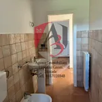 Rent 5 bedroom apartment of 100 m² in Cascina