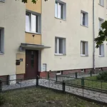 Rent 2 bedroom apartment of 52 m² in Toruń