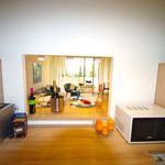 Rent 2 bedroom apartment of 60 m² in München