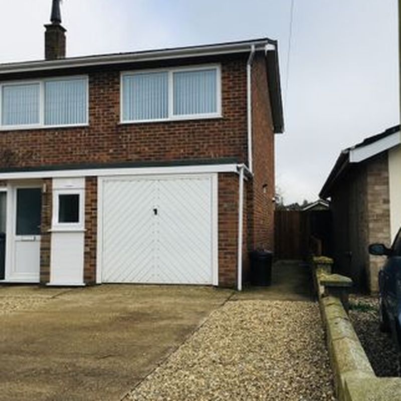 Semi-detached house to rent in Pine Road, Norwich NR7 Thorpe St Andrew