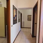 Rent 3 bedroom apartment of 100 m² in Verona