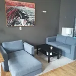 Rent 1 bedroom apartment in Antwerpen