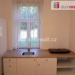 Rent 1 bedroom apartment of 39 m² in Karlovy Vary