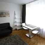 Rent 1 bedroom apartment of 34 m² in München