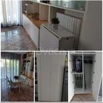 Rent 3 bedroom apartment of 120 m² in Venice