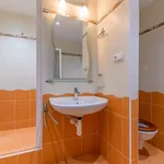 Pronajměte si 2 ložnic/e byt o rozloze 54 m² v Capital City of Prague