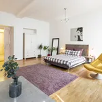 Rent a room of 160 m² in Prague