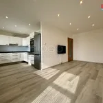 Pronajměte si 2 ložnic/e byt o rozloze 52 m² v Praha