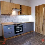 Rent 1 bedroom apartment of 41 m² in Kyjov