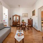 Rent 1 bedroom apartment of 70 m² in Roma