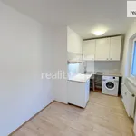 Rent 1 bedroom apartment in Praha 3