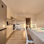 Pronajměte si 3 ložnic/e byt o rozloze 109 m² v Prague