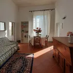 Rent 3 bedroom apartment of 65 m² in Florence