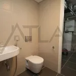 Rent 3 bedroom apartment of 103 m² in Prague