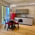 Rent 2 bedroom apartment of 56 m² in Florence